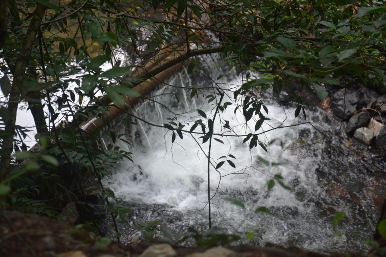 Park Veredas Flet 712. Rio Quente Dış mekan fotoğraf